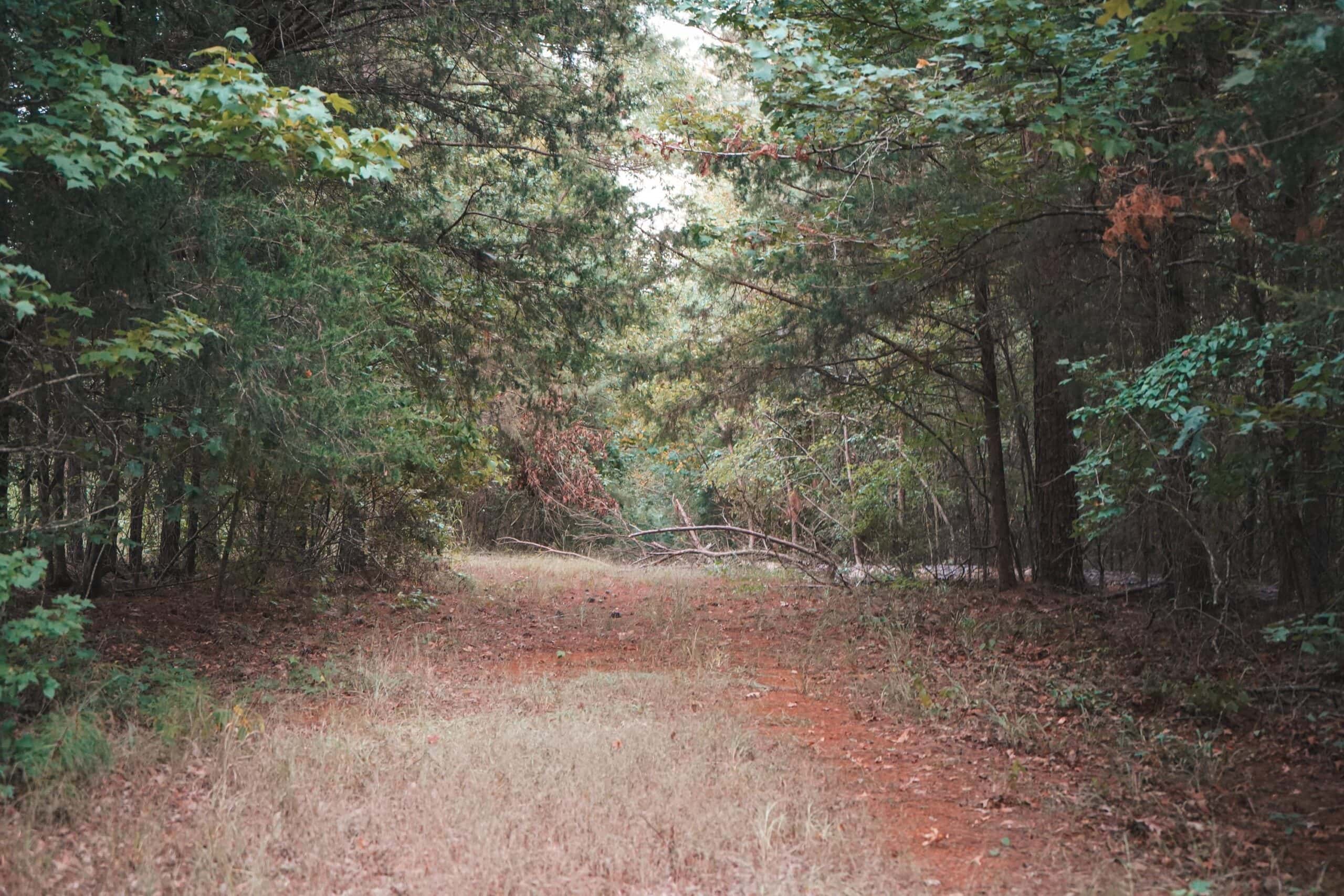 Affordable Union Parish Land for Sale