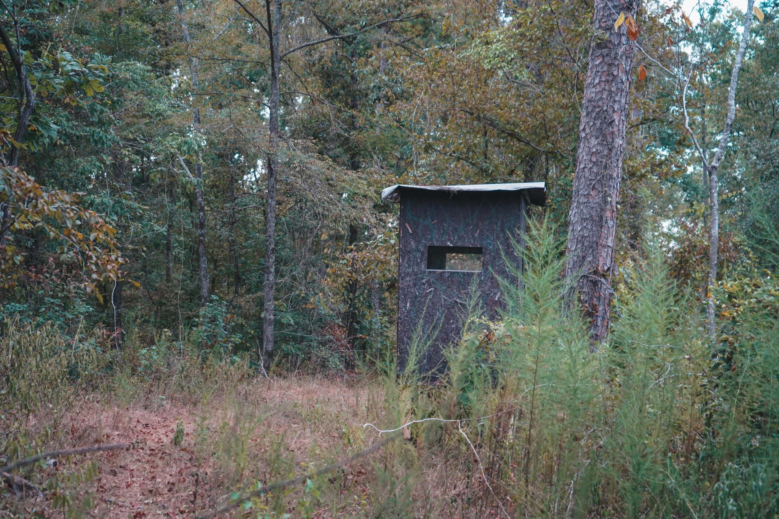Affordable Union Parish Land for Sale