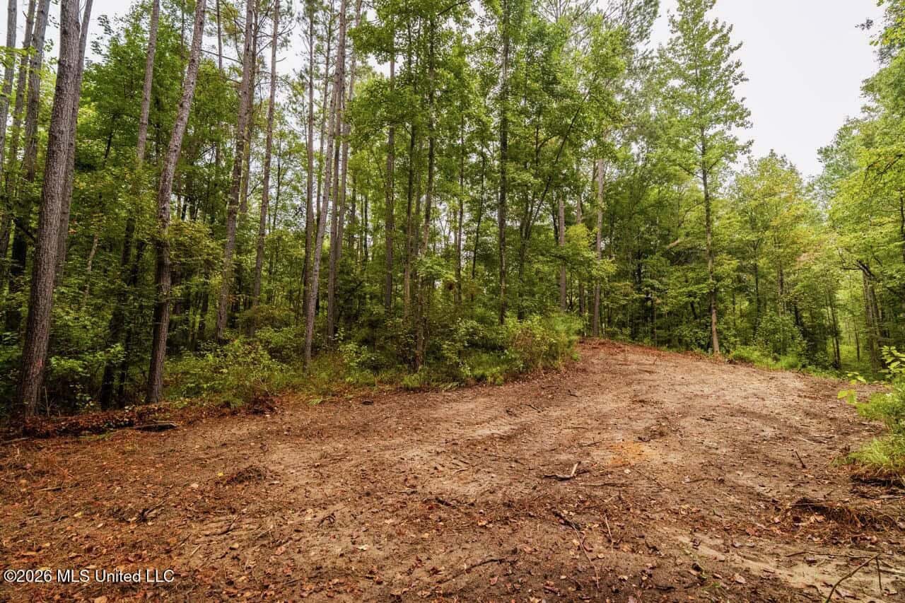13± Acres by Homochitto National Forest Near Meadville, MS