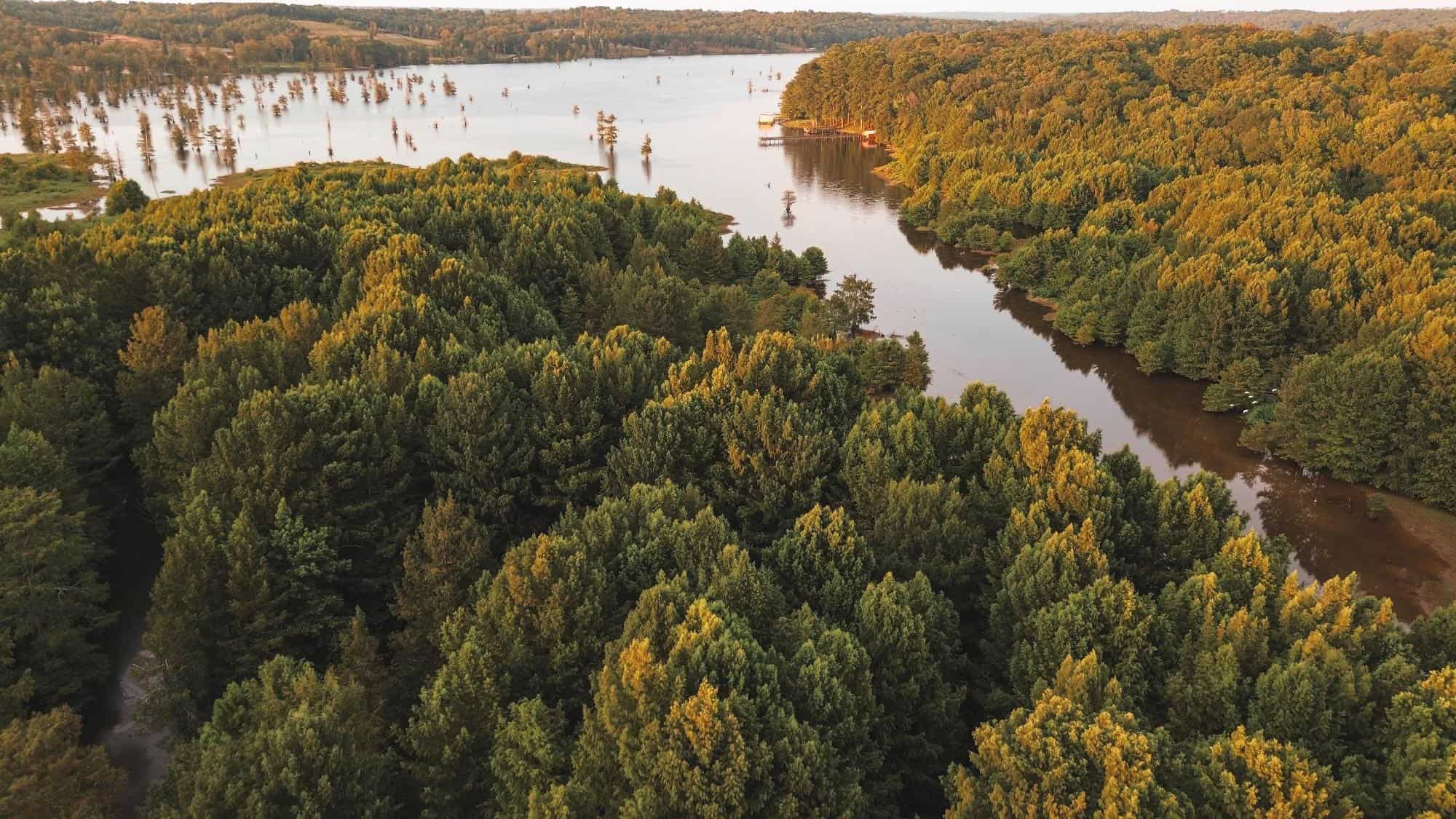Lake D’Arbonne Land for Sale