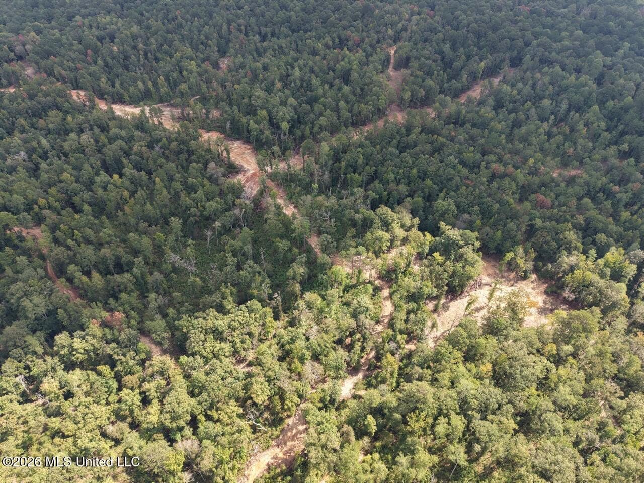 45± Acre Hunting Property in Franklin County, MS