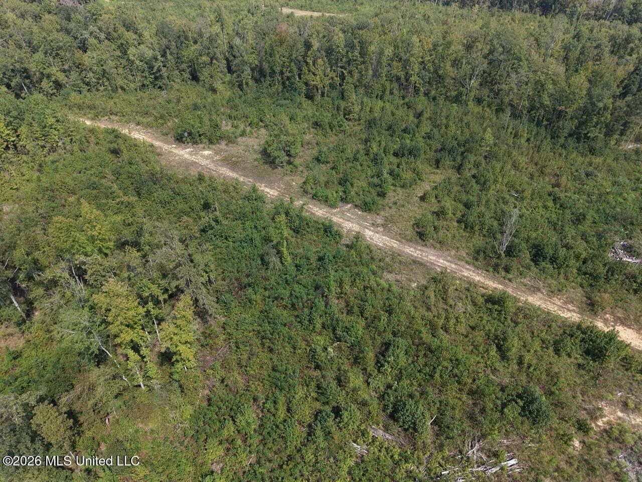 200± Acre Hunting Property in Jefferson County, MS