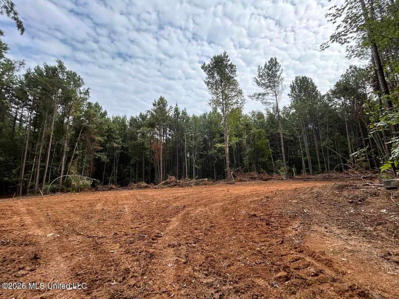 25± Acre Hunting & Homesite Tract in Centreville, MS