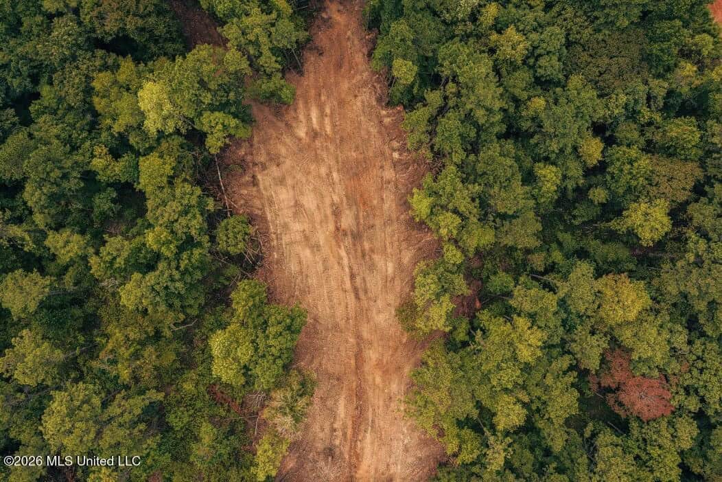 58± Acre Hunting Property in Franklin County, MS