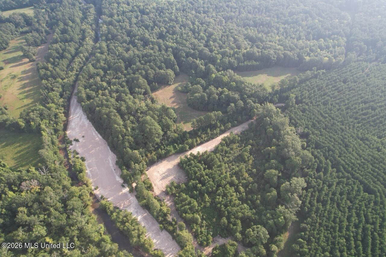 80± Acre Riverfront Hunting Land Near Meadville, MS