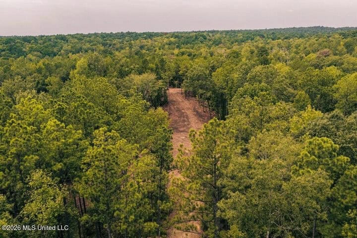 36± Acre Hunting Property Near Bude, MS