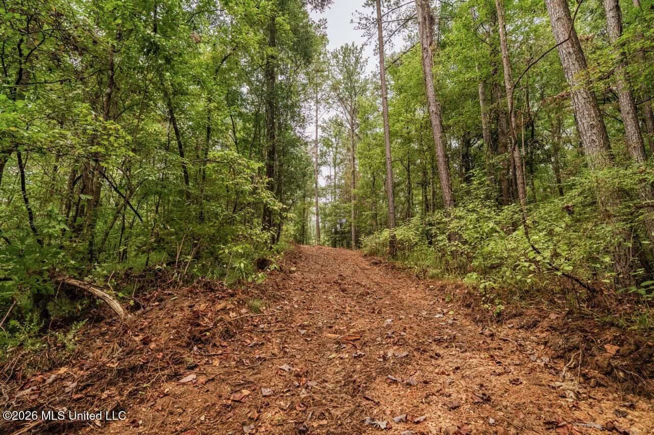 13± Acres by Homochitto National Forest Near Meadville, MS