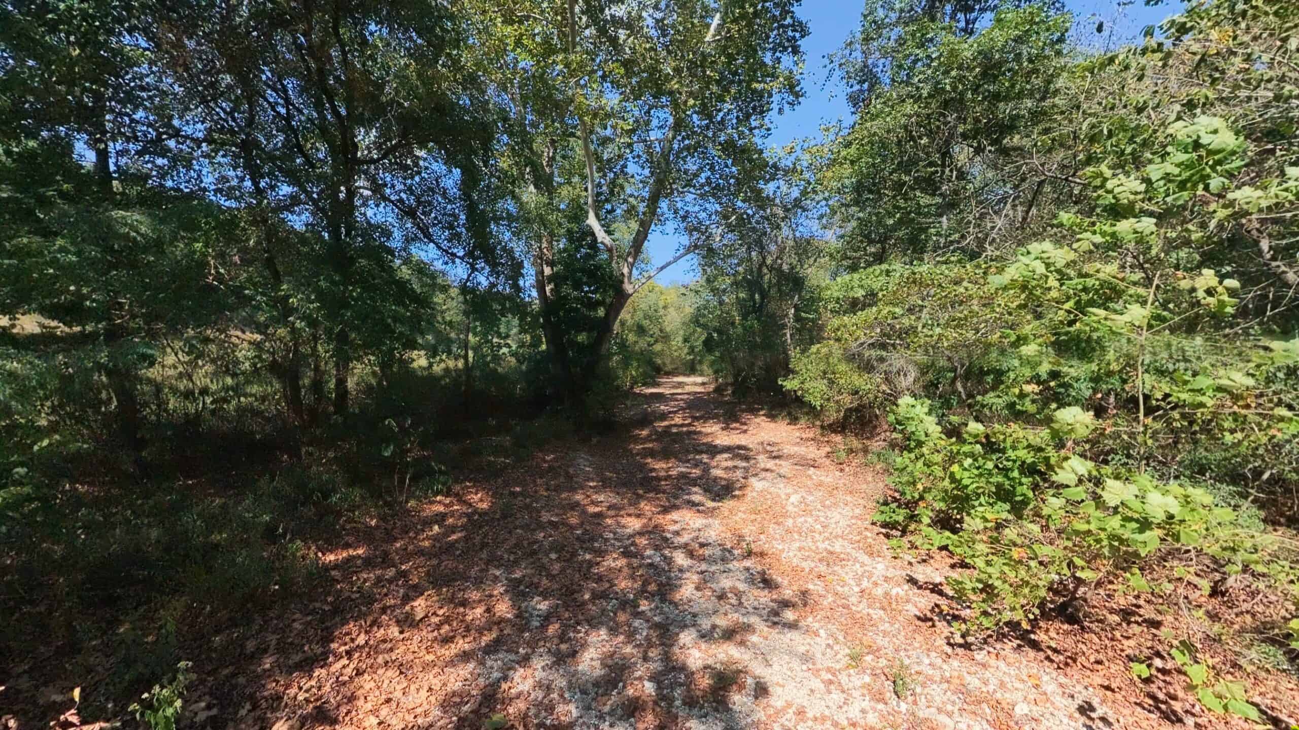 70 Acres & Hunting Cabin For Sale | The Missouri Ozarks