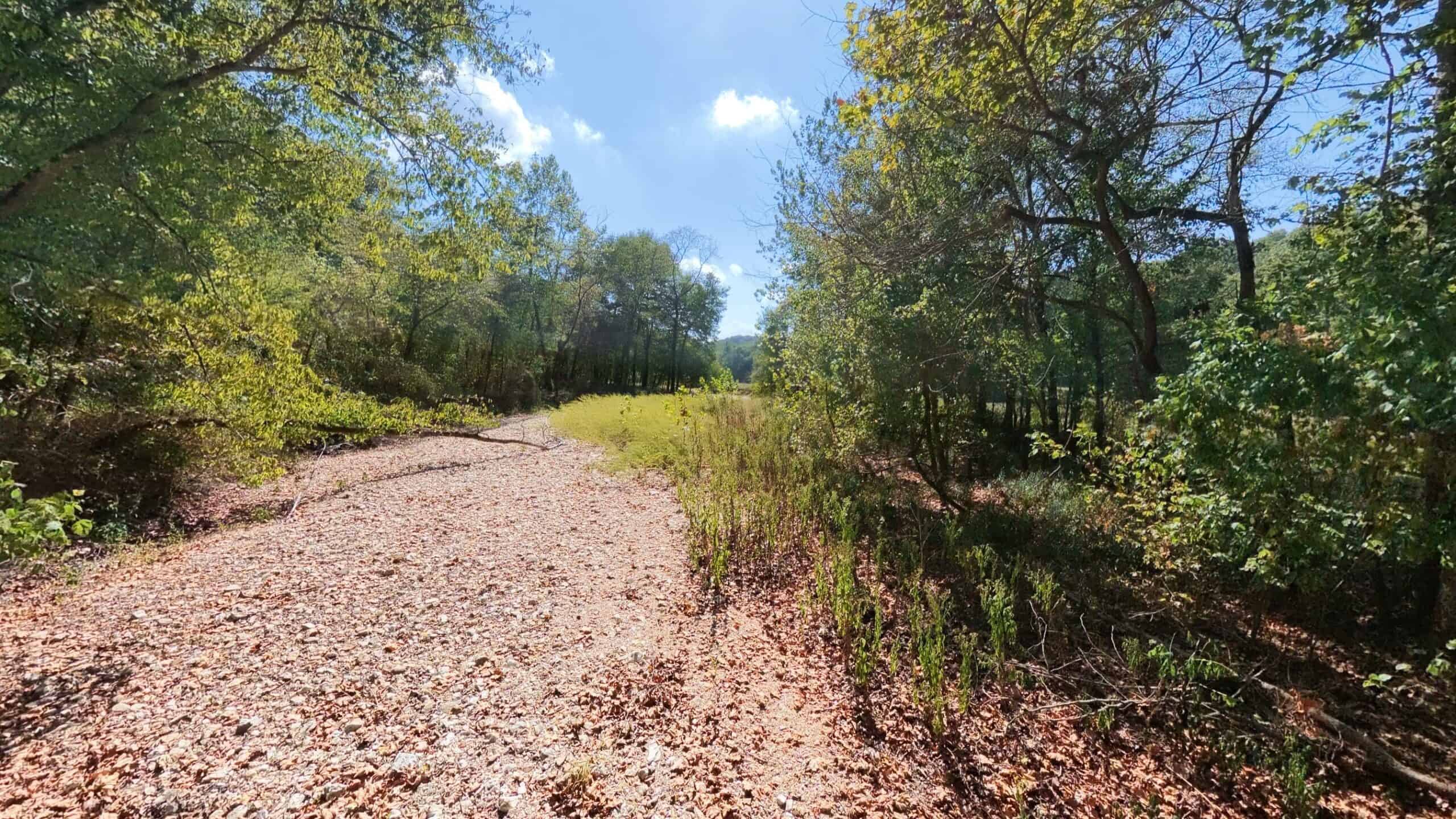 70 Acres & Hunting Cabin For Sale | The Missouri Ozarks