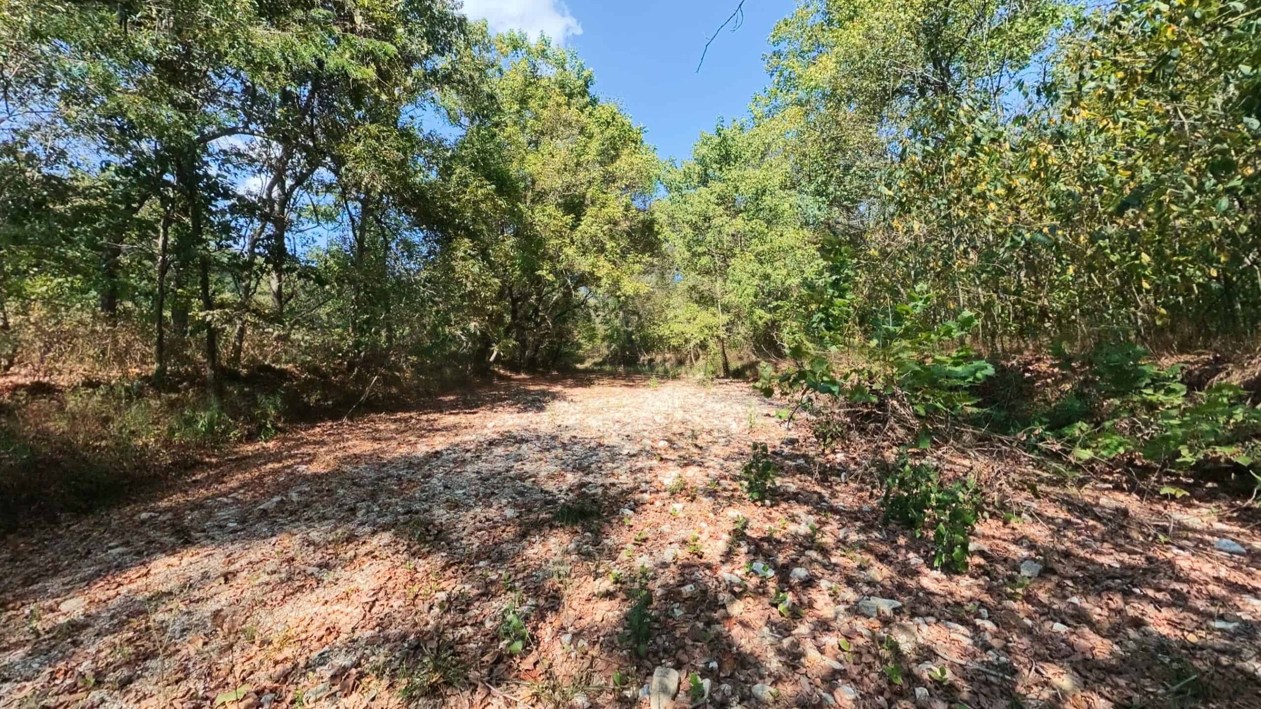 70 Acres & Hunting Cabin For Sale | The Missouri Ozarks