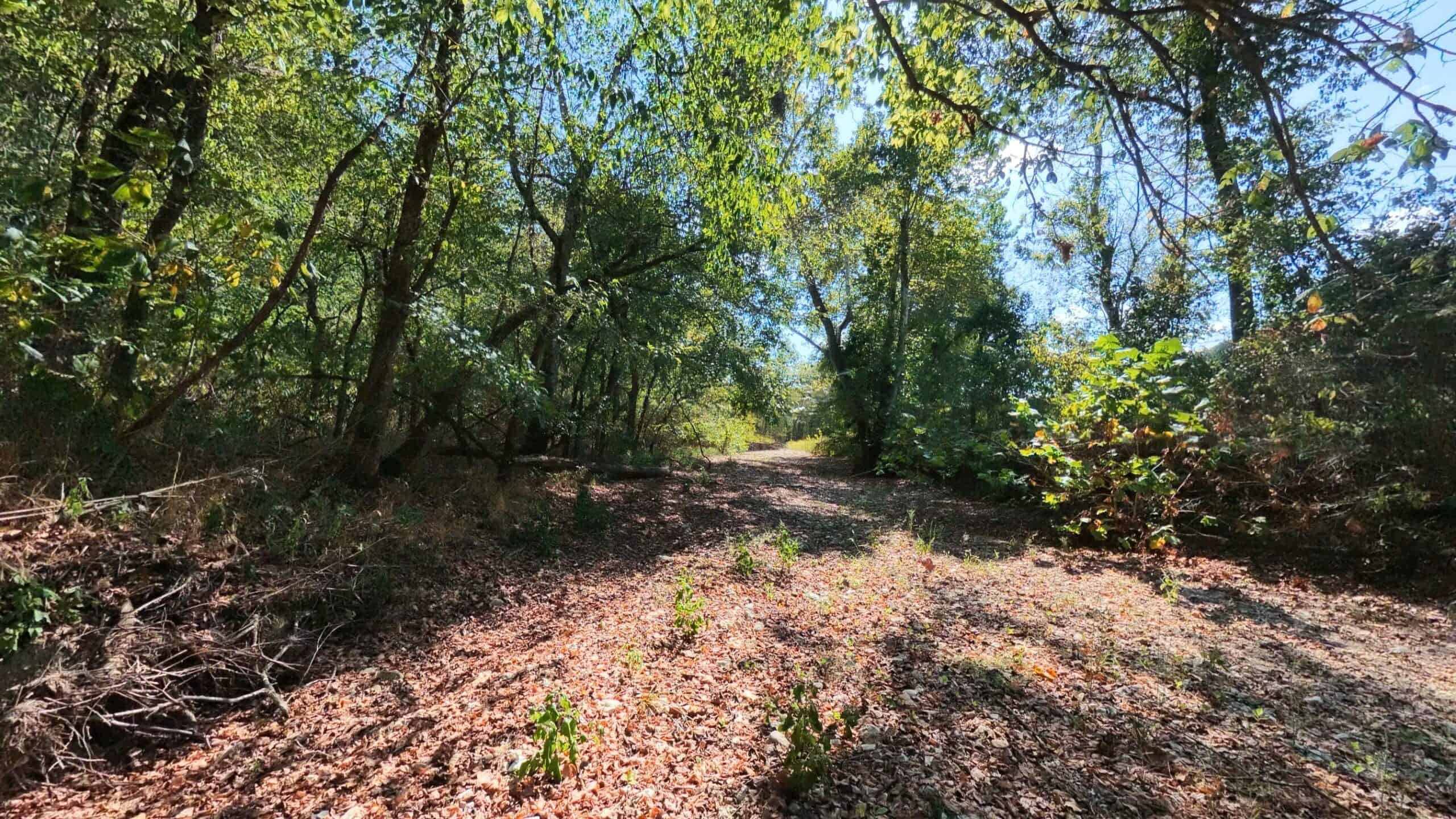 70 Acres & Hunting Cabin For Sale | The Missouri Ozarks
