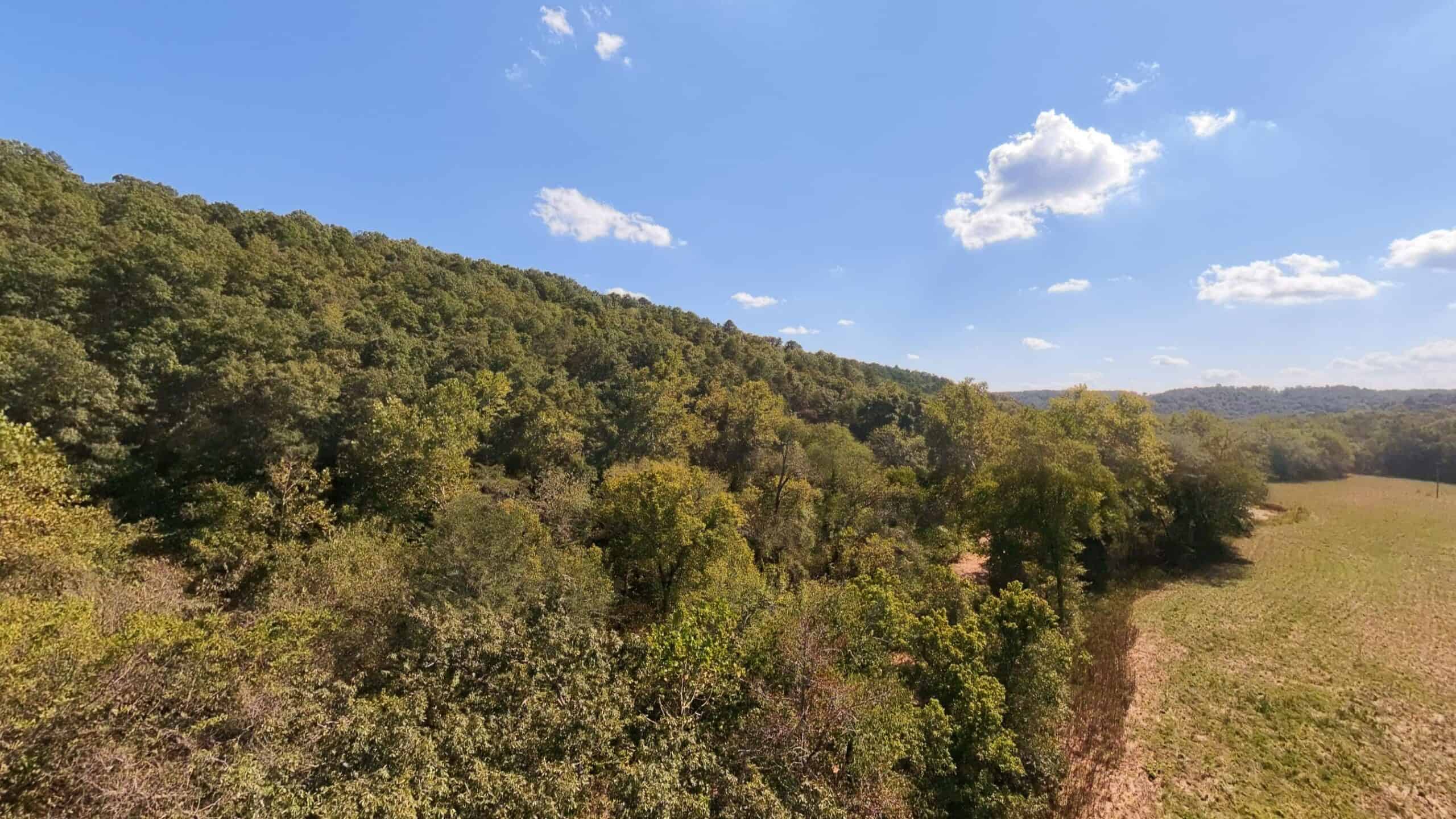70 Acres & Hunting Cabin For Sale | The Missouri Ozarks