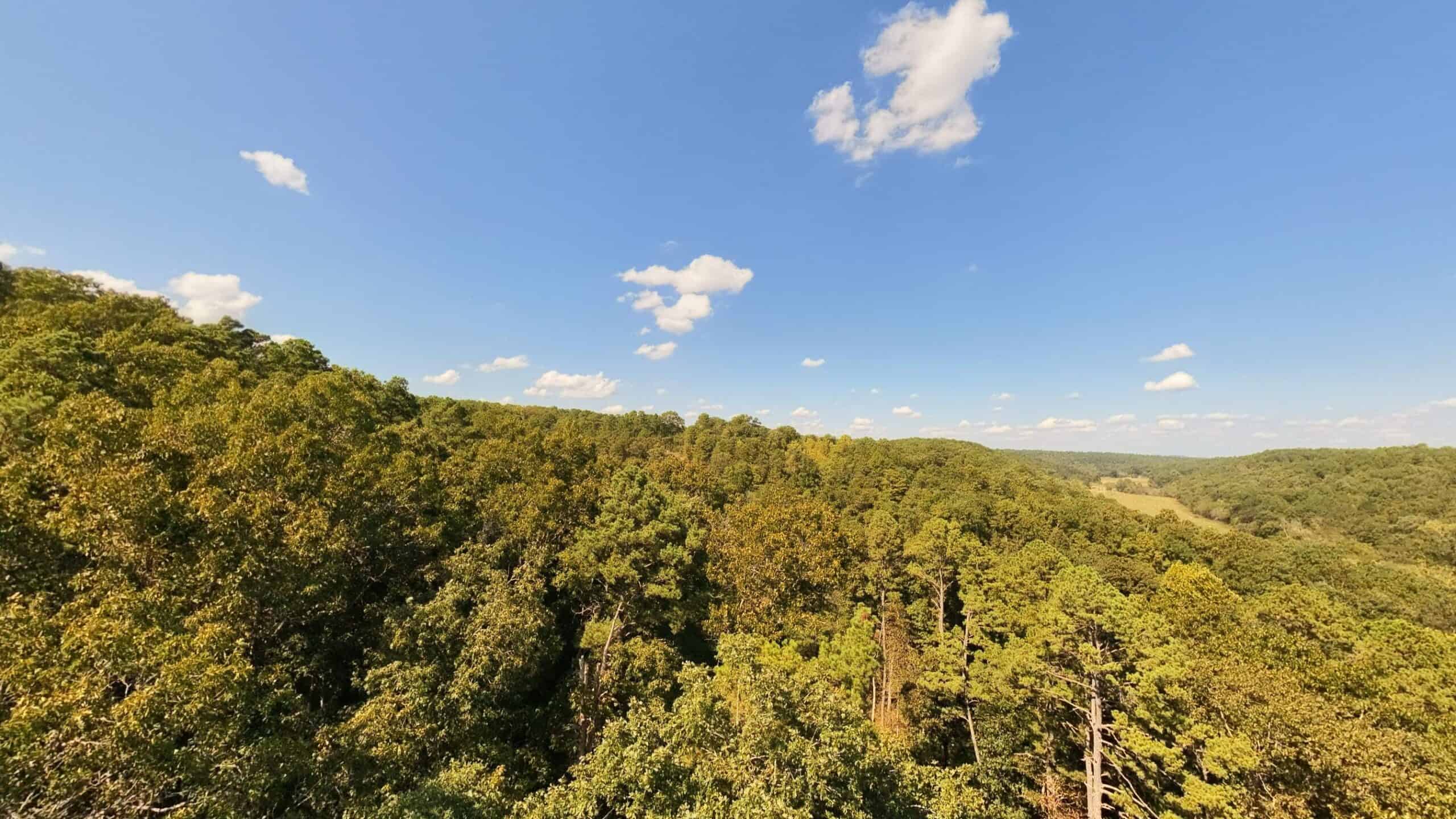 70 Acres & Hunting Cabin For Sale | The Missouri Ozarks