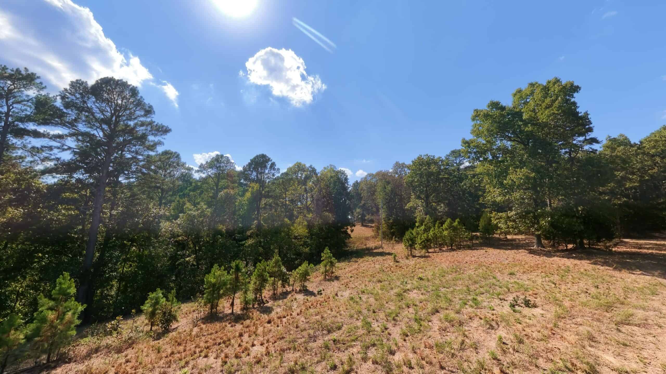 70 Acres & Hunting Cabin For Sale | The Missouri Ozarks