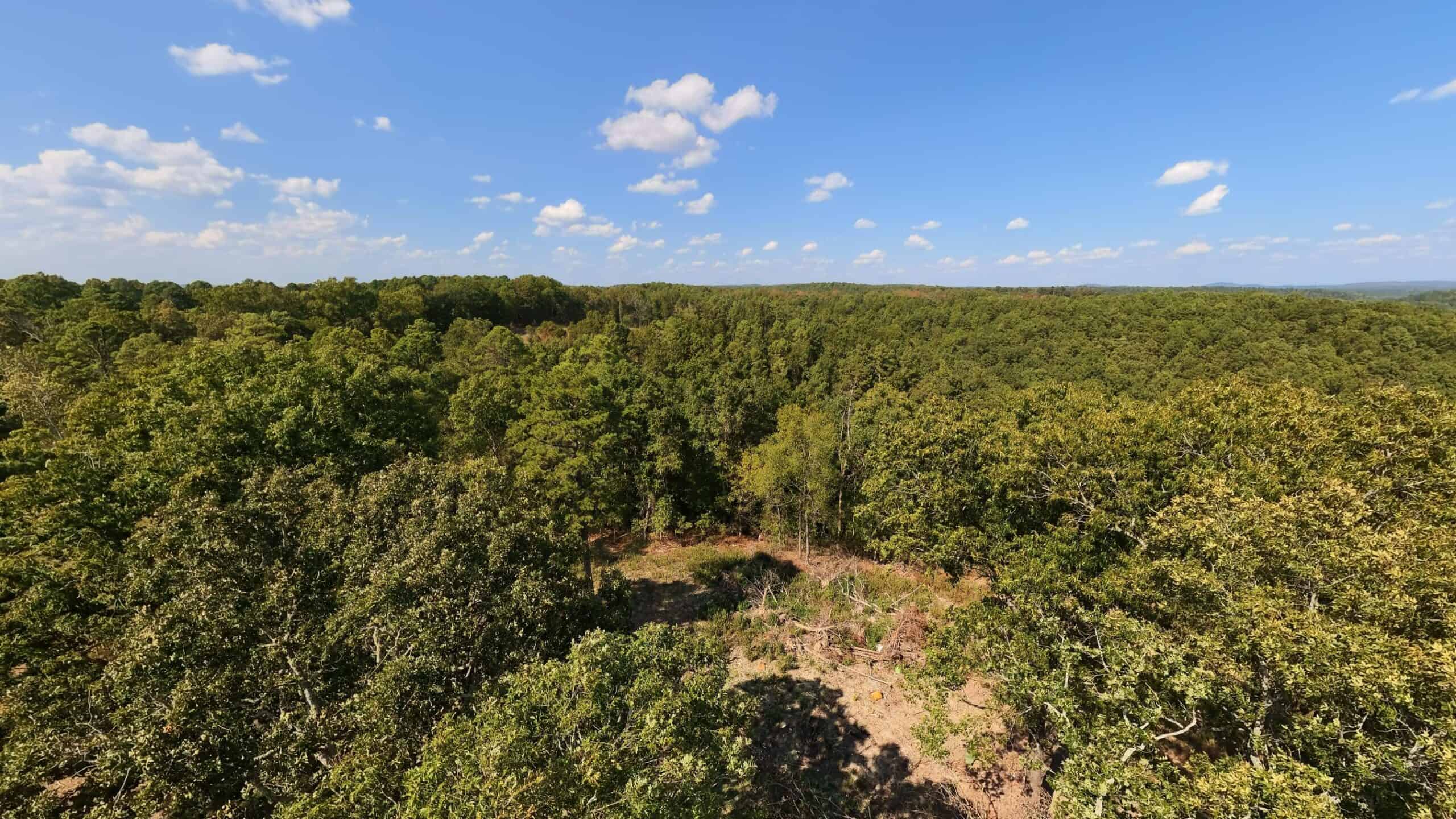 70 Acres & Hunting Cabin For Sale | The Missouri Ozarks