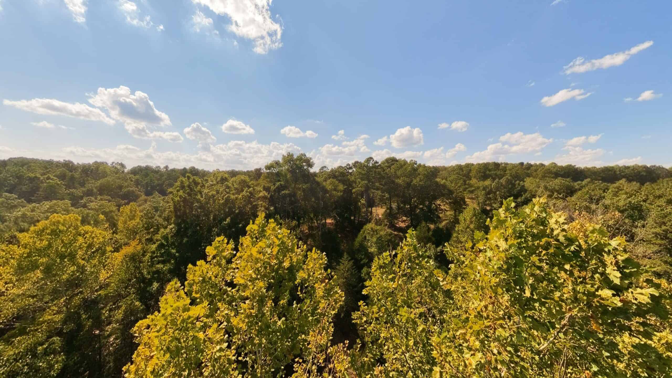 70 Acres & Hunting Cabin For Sale | The Missouri Ozarks