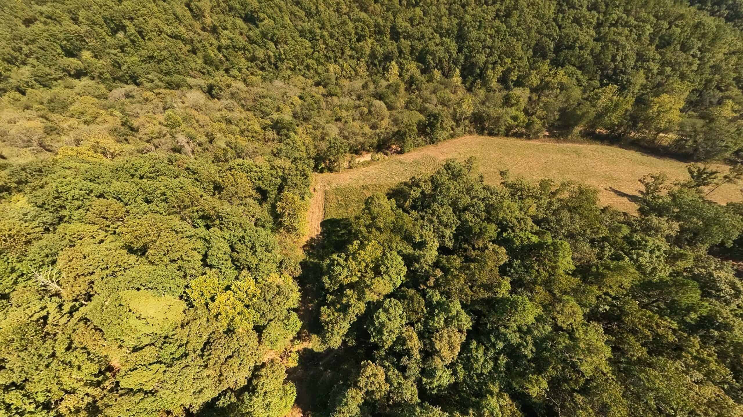 70 Acres & Hunting Cabin For Sale | The Missouri Ozarks