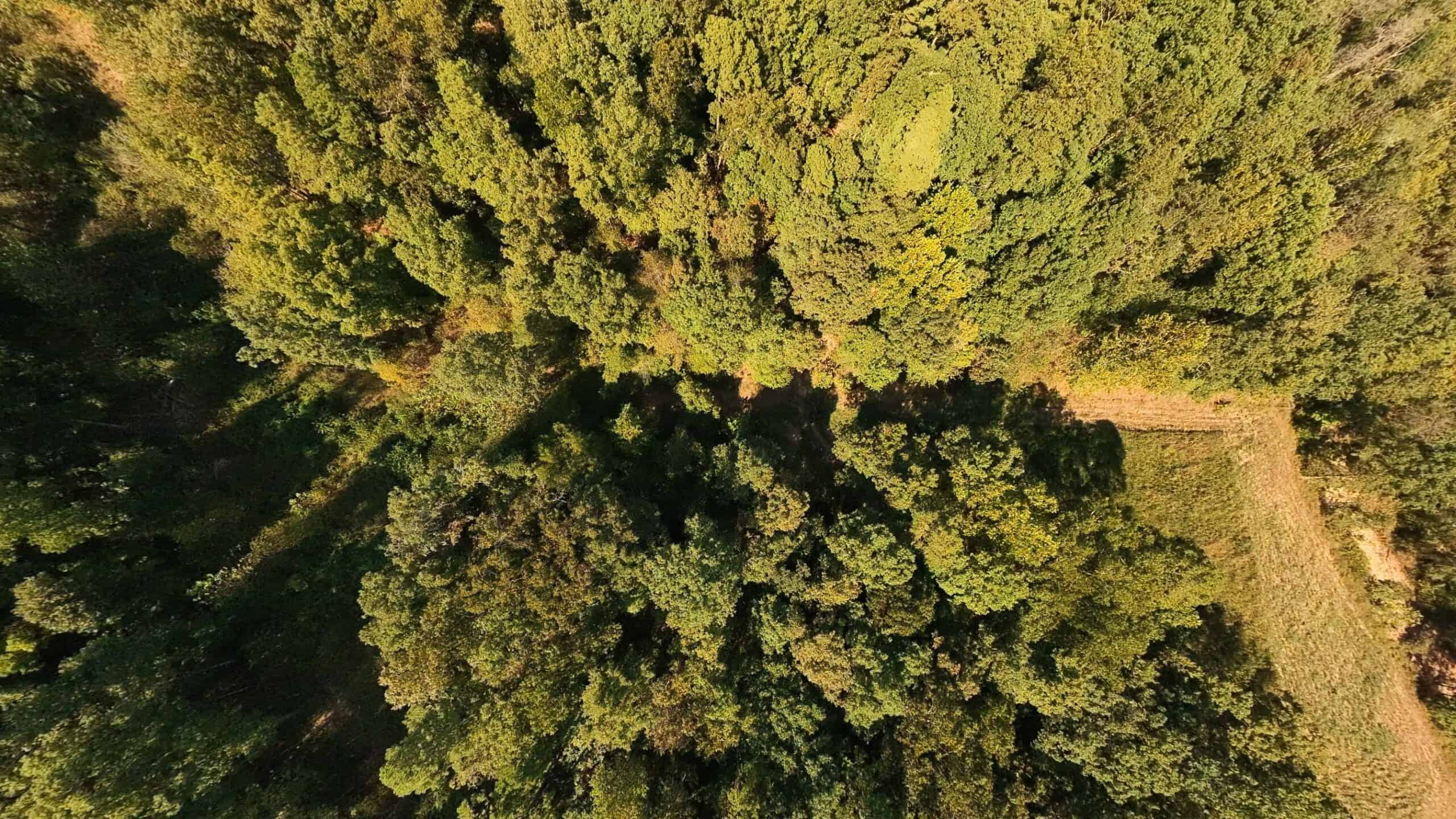 70 Acres & Hunting Cabin For Sale | The Missouri Ozarks