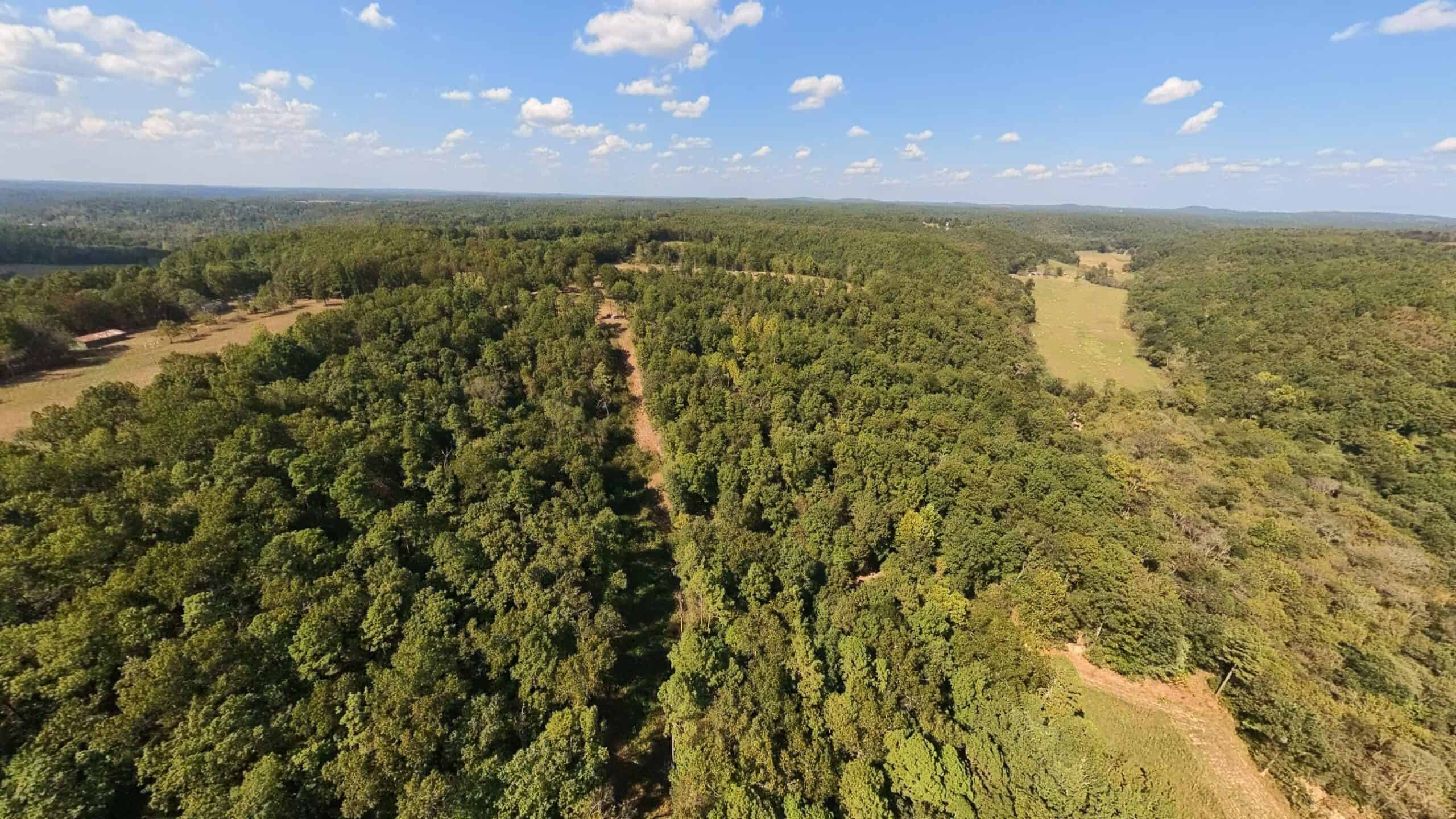70 Acres & Hunting Cabin For Sale | The Missouri Ozarks