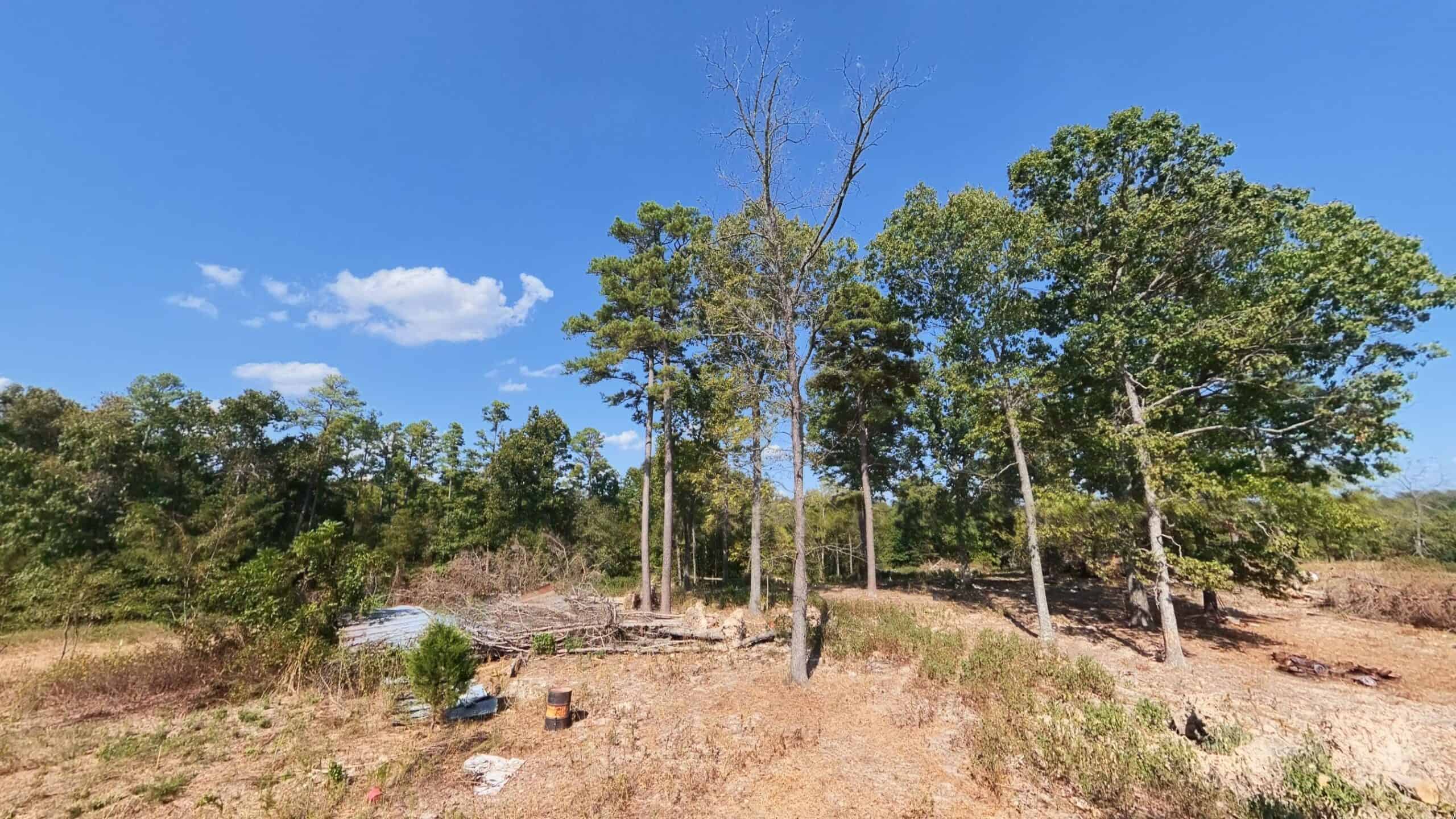 70 Acres & Hunting Cabin For Sale | The Missouri Ozarks