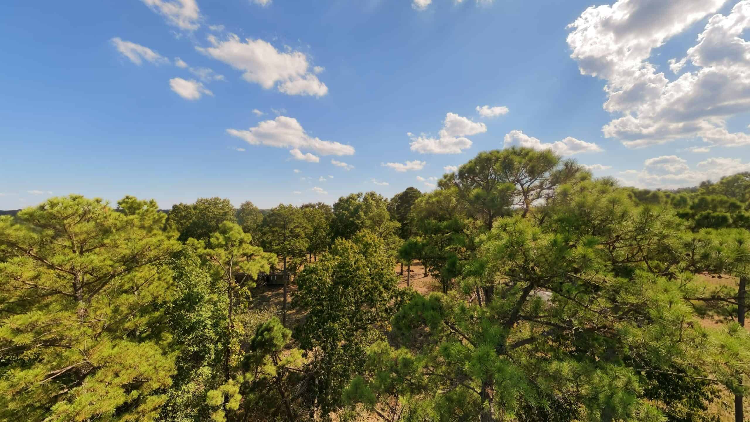 70 Acres & Hunting Cabin For Sale | The Missouri Ozarks