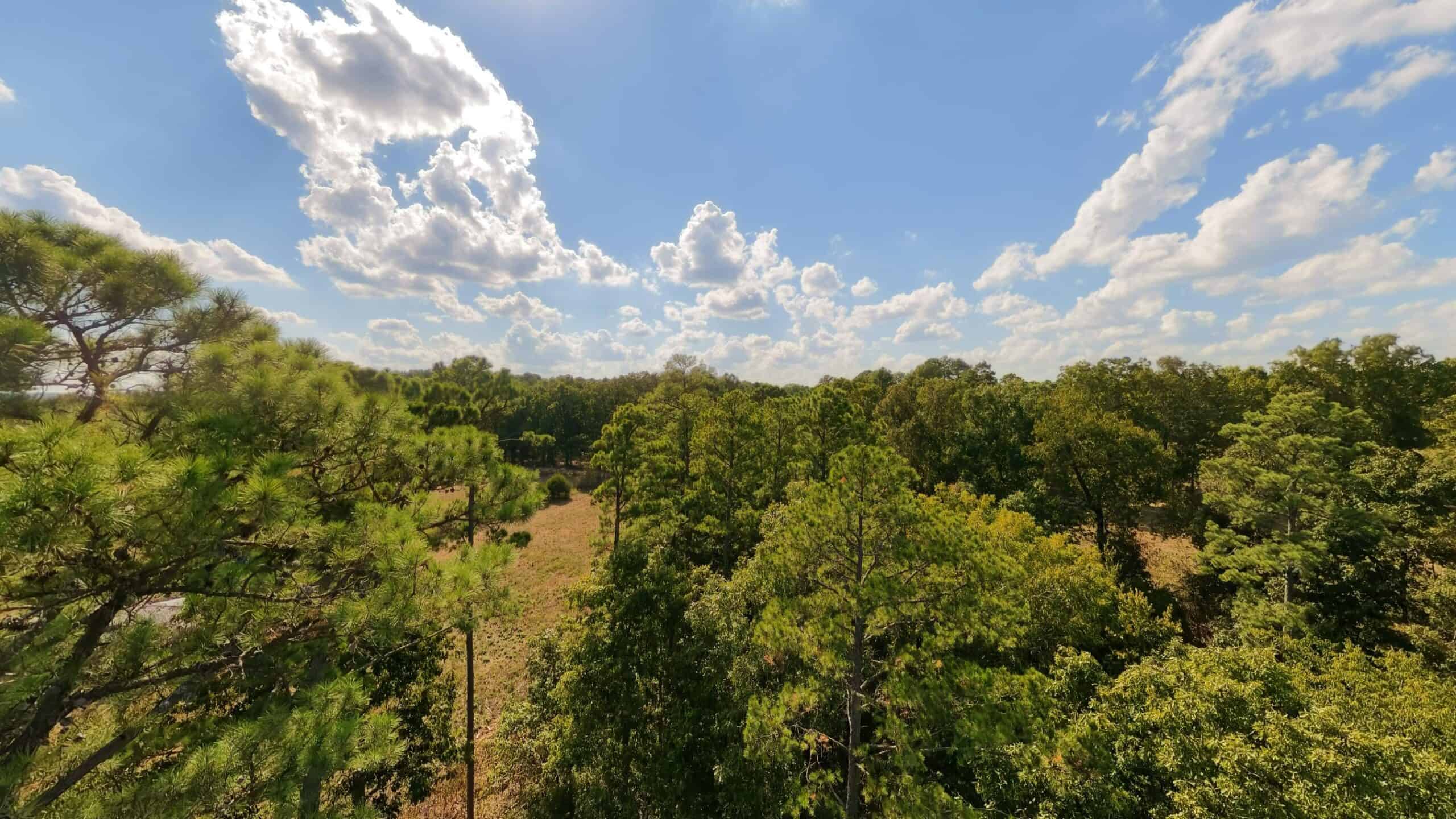 70 Acres & Hunting Cabin For Sale | The Missouri Ozarks
