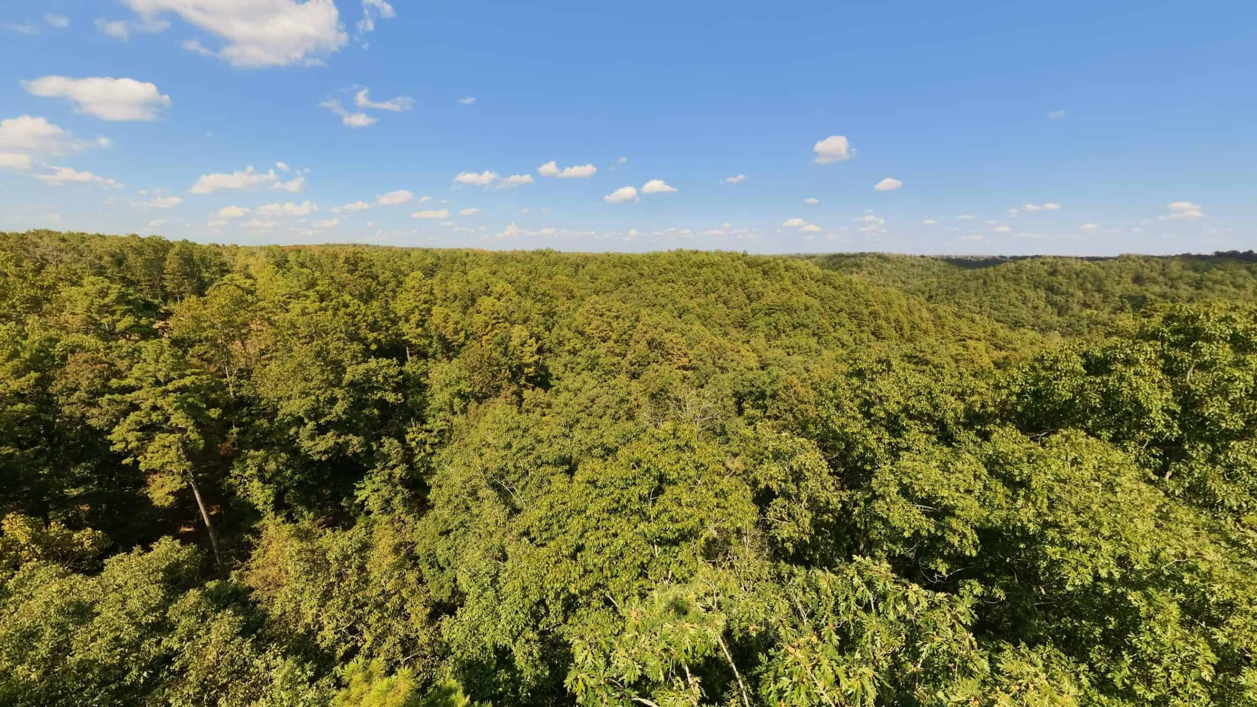 70 Acres & Hunting Cabin For Sale | The Missouri Ozarks