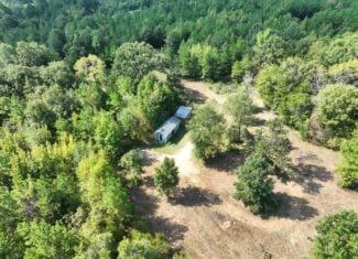 ±16.71 Acres in Linden TX | Land For Sale with Cabin & Power