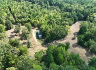 ±16.71 Acres in Linden TX | Land For Sale with Cabin & Power