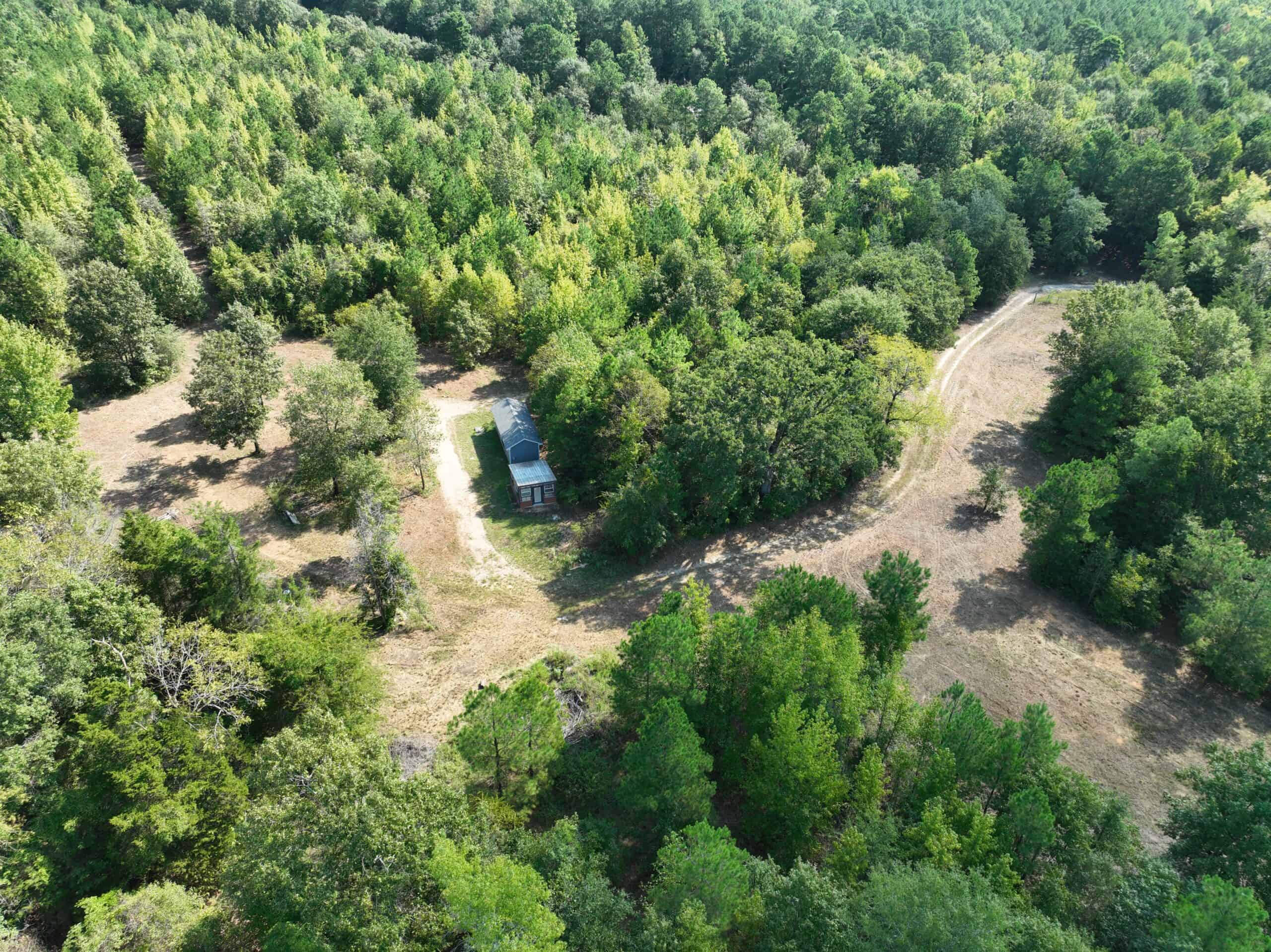 ±16.71 Acres in Linden TX | Land For Sale with Cabin & Power
