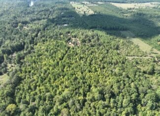 ±16.71 Acres in Linden TX | Land For Sale with Cabin & Power