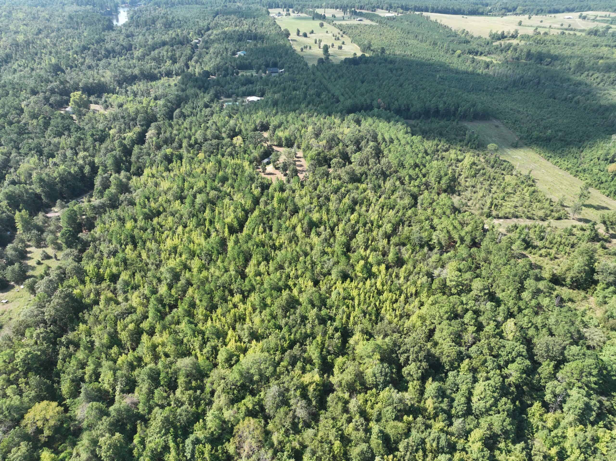 ±16.71 Acres in Linden TX | Land For Sale with Cabin & Power