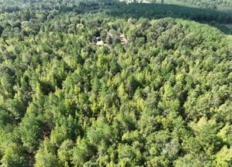 ±16.71 Acres in Linden TX | Land For Sale with Cabin & Power