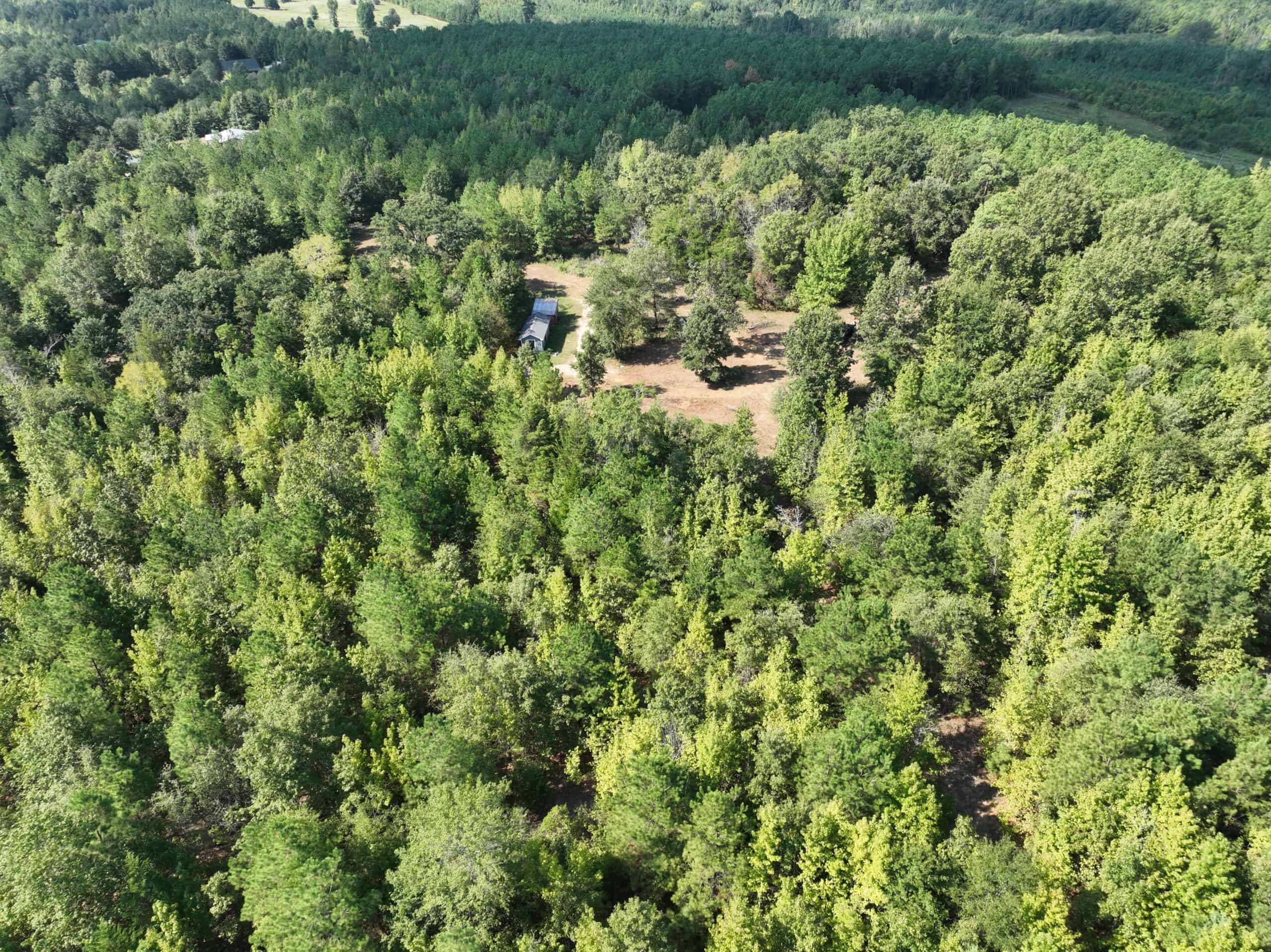 ±16.71 Acres in Linden TX | Land For Sale with Cabin & Power