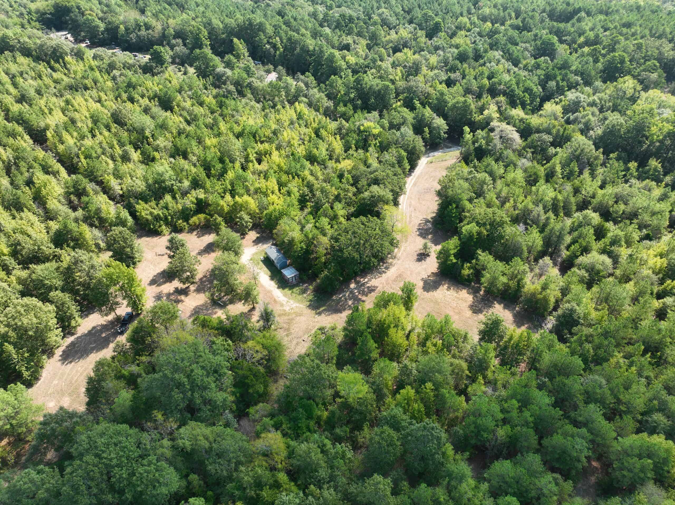±16.71 Acres in Linden TX | Land For Sale with Cabin & Power