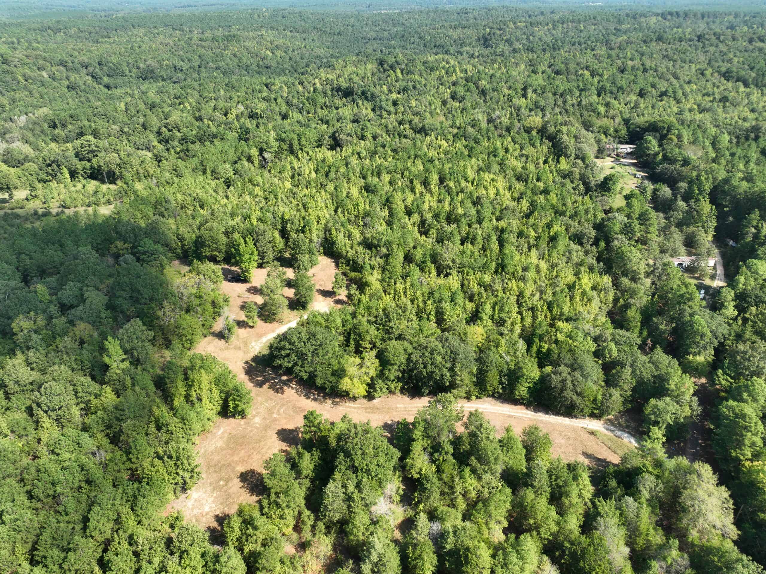 ±16.71 Acres in Linden TX | Land For Sale with Cabin & Power