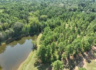 ±18.15 Acres Near Historic Jefferson with Septic & Ponds