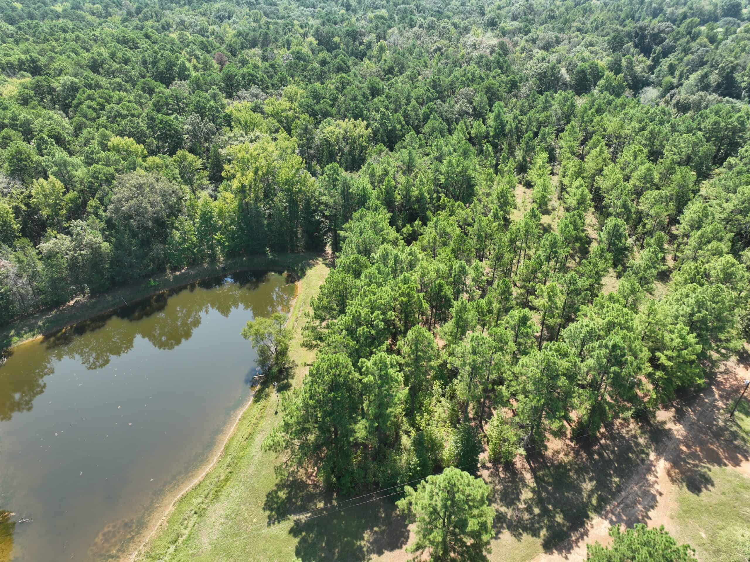±18.15 Acres Near Historic Jefferson with Septic & Ponds