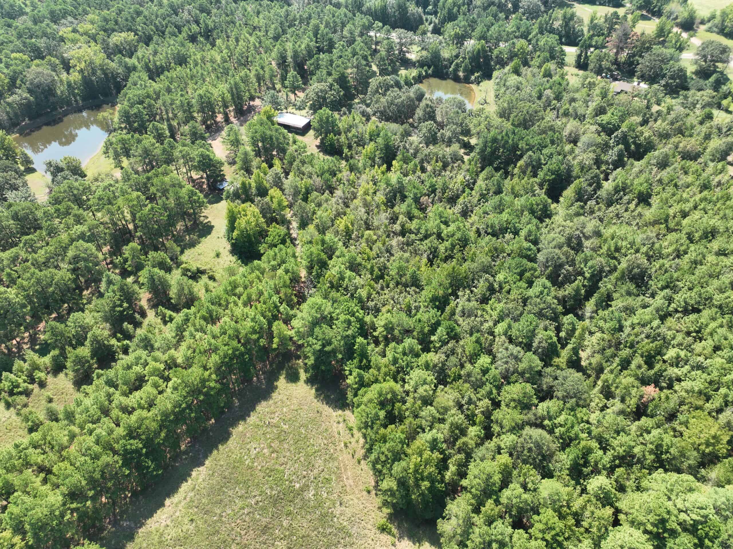 ±18.15 Acres Near Historic Jefferson with Septic & Ponds