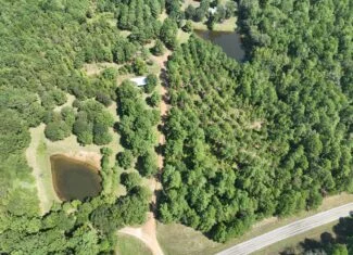 ±18.15 Acres Near Historic Jefferson with Septic & Ponds