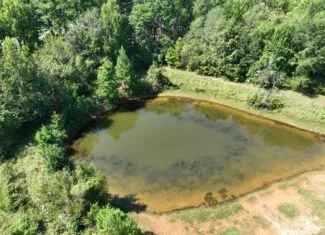 ±18.15 Acres Near Historic Jefferson with Septic & Ponds