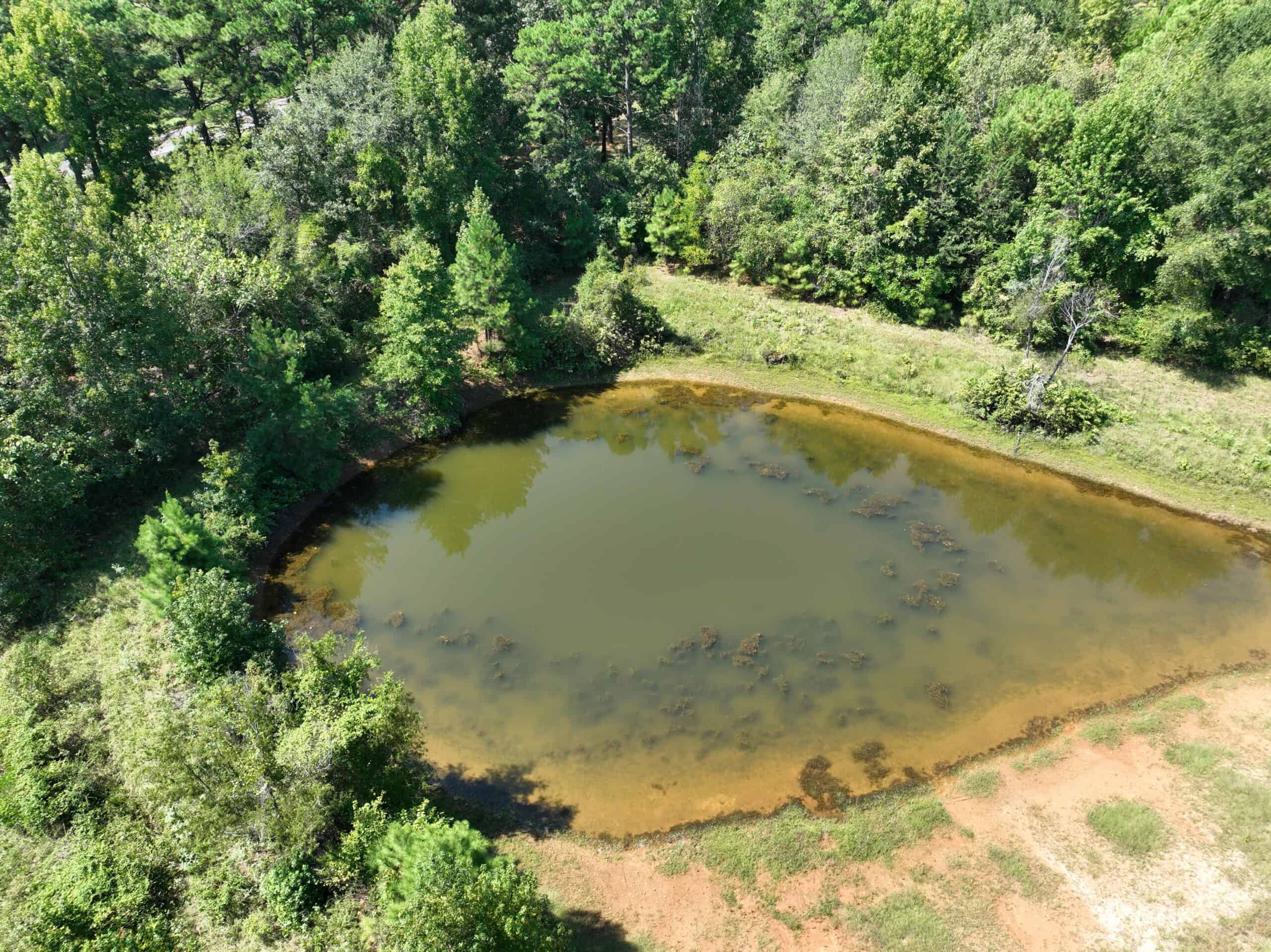 ±18.15 Acres Near Historic Jefferson with Septic & Ponds