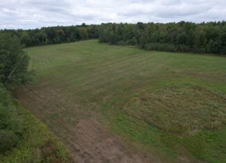 40± Wooded Acres For Sale Near Wisconsin National Forest