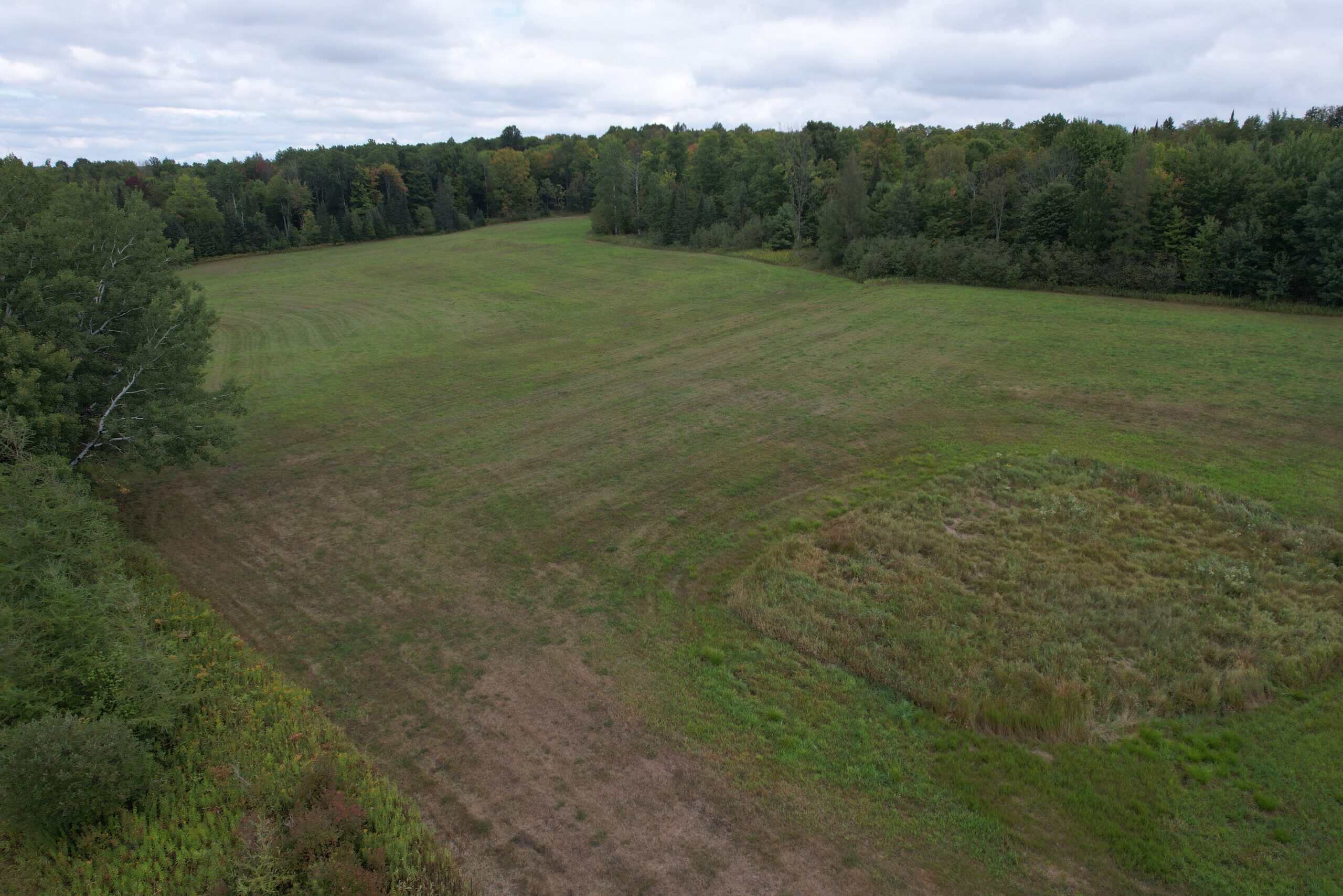40± Wooded Acres For Sale Near Wisconsin National Forest