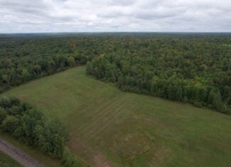 40± Wooded Acres For Sale Near Wisconsin National Forest