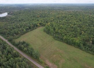 40± Wooded Acres For Sale Near Wisconsin National Forest