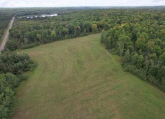 40± Wooded Acres For Sale Near Wisconsin National Forest