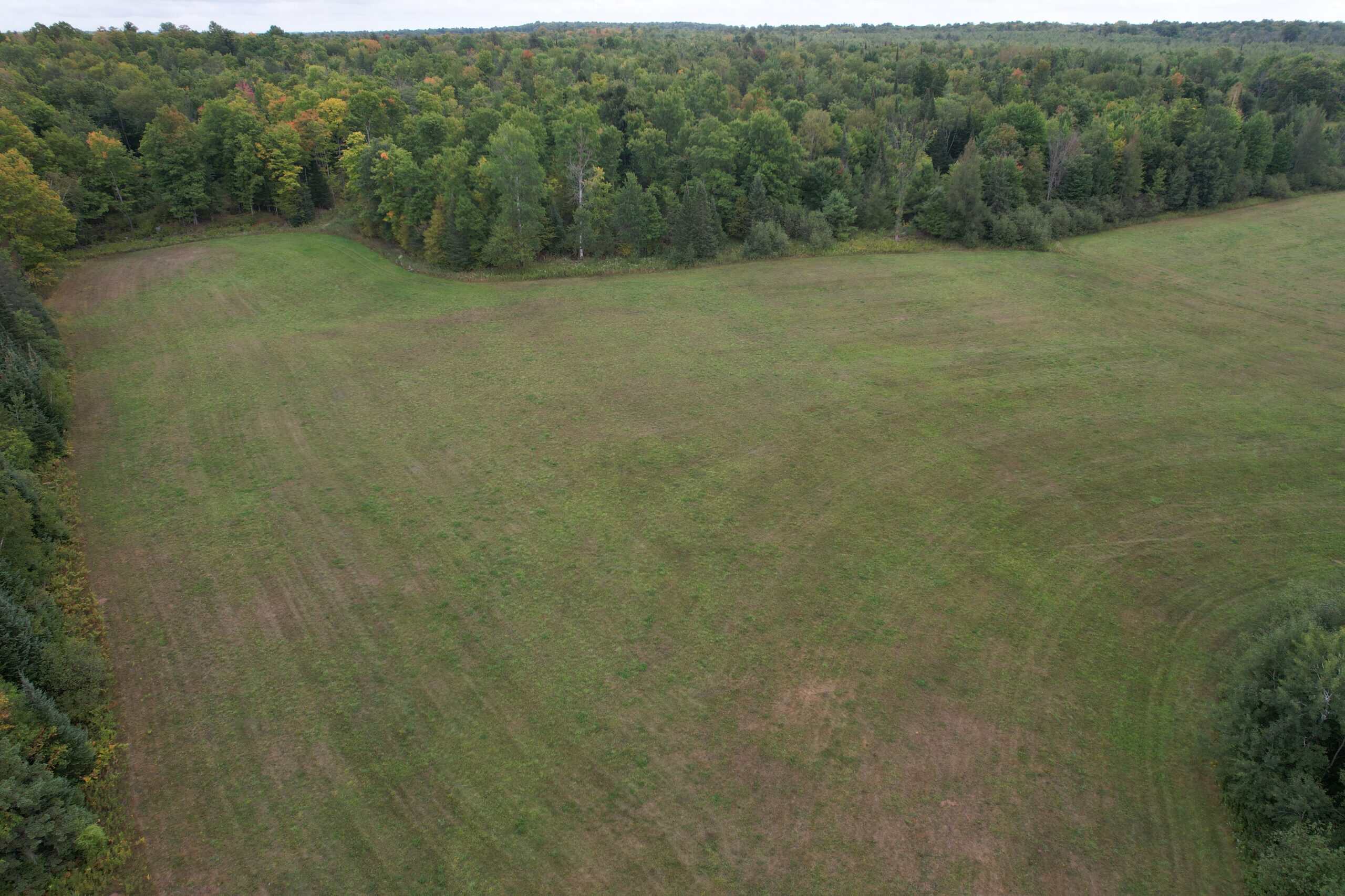 40± Wooded Acres For Sale Near Wisconsin National Forest