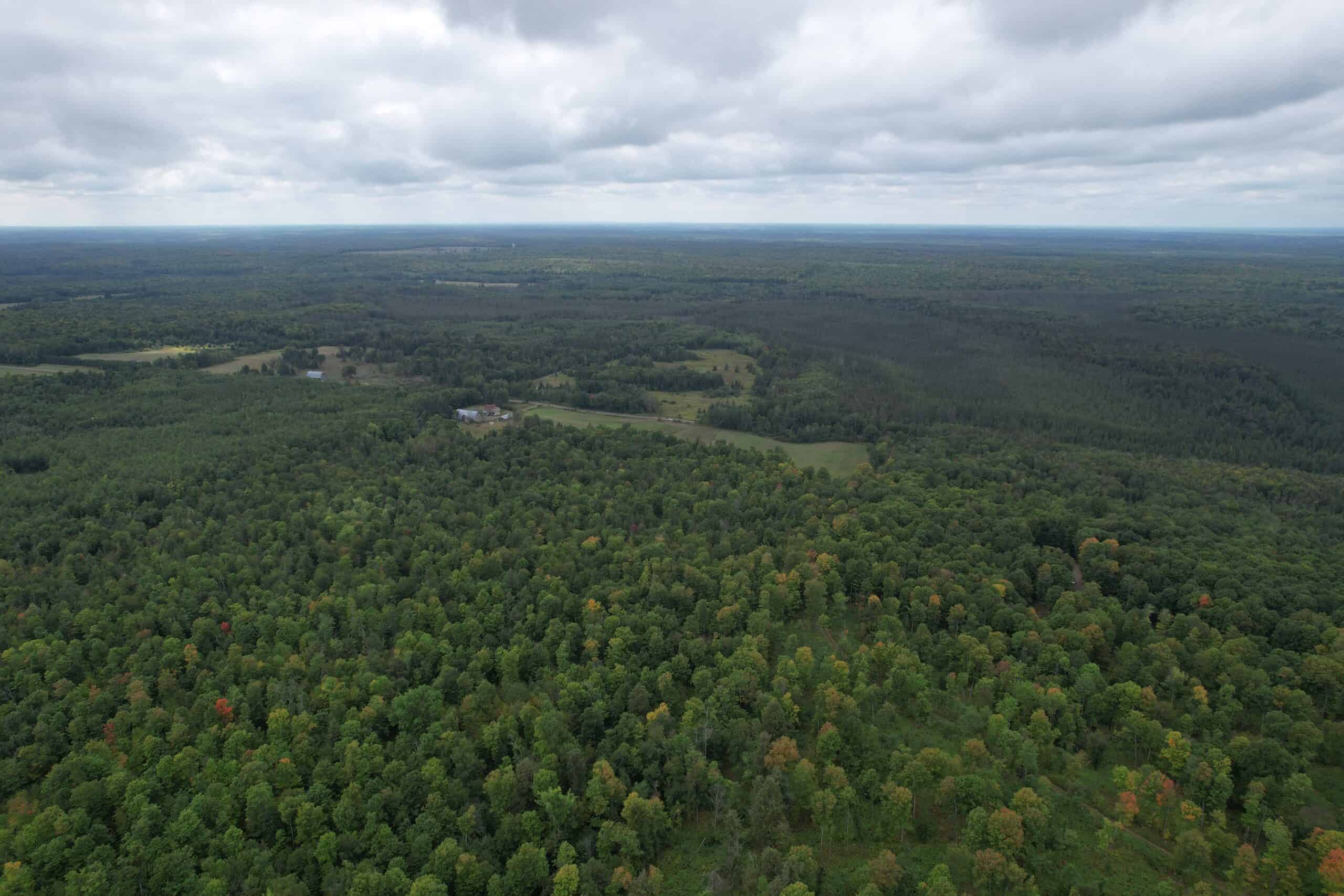 40± Wooded Acres For Sale Near Wisconsin National Forest