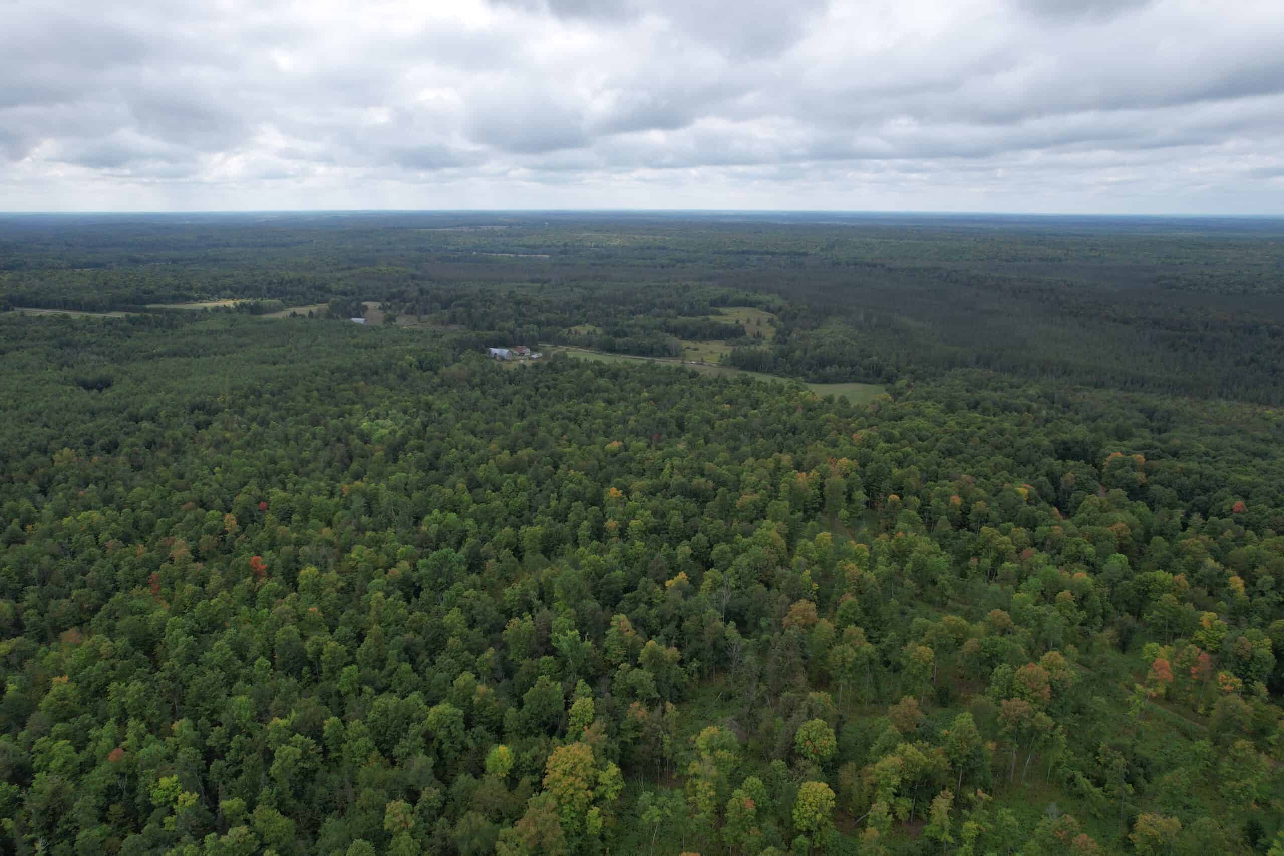 40± Wooded Acres For Sale Near Wisconsin National Forest